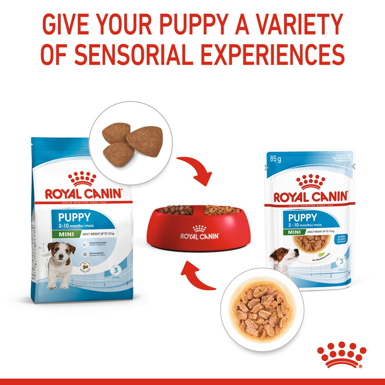 Royal Canin Size Health Nutrition Mini Puppy (Dog Wet Food - Pouches)