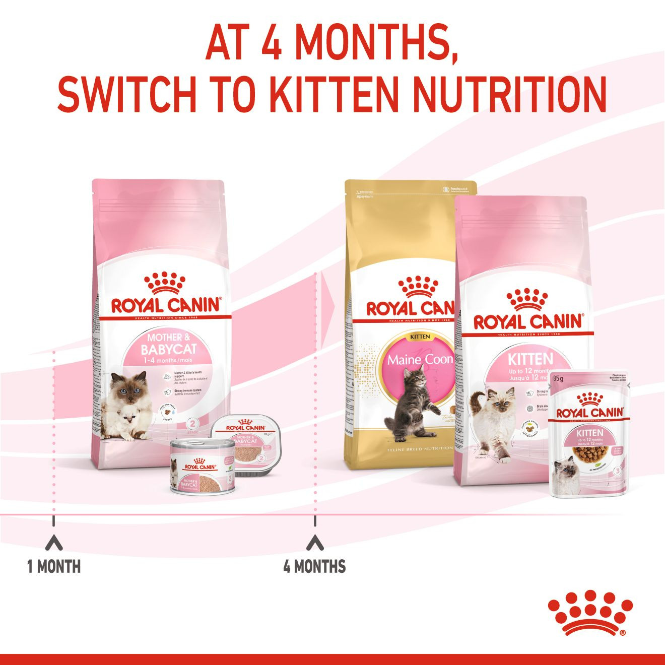 Royal Canin Feline Health Nutrition Mother and Babycat Cat Dry Food