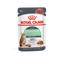 Royal Canin  Feline Care Nutrition Digest Sensitive Gravy (Cat Wet Food - Pouches)