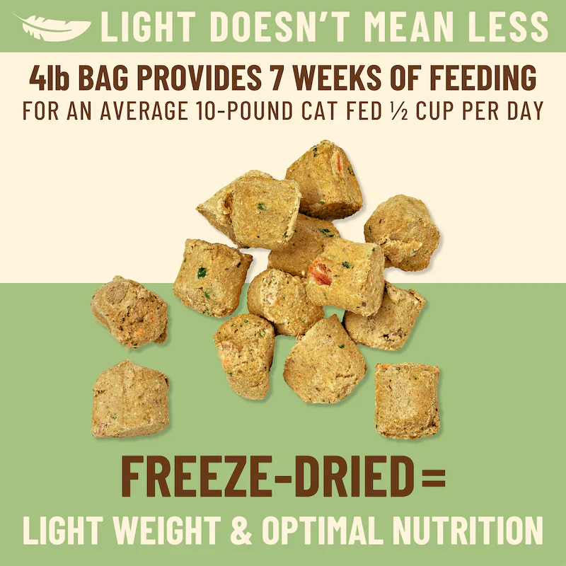 Primal Kibble in the Raw Cat Food – Hypoallergenic Chicken Recipe