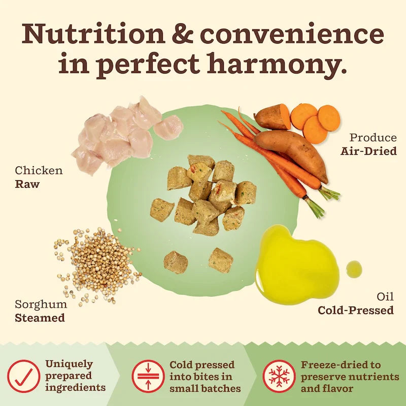 Primal Kibble in the Raw Cat Food – Hypoallergenic Chicken Recipe