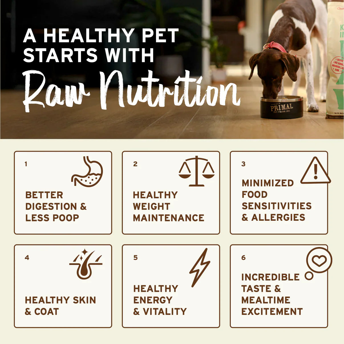 Primal Canine Lamb Grain-Free Freeze-Dried Dog Food Formula