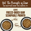 Primal Canine Chicken-Salmon Puppy Pronto Dog Food