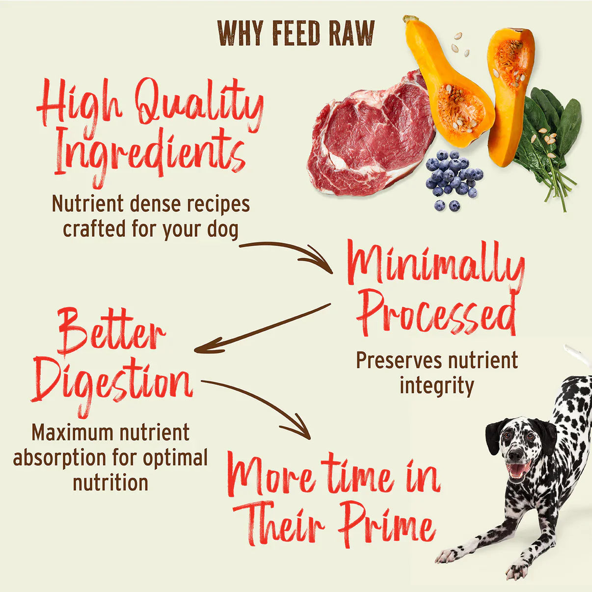Primal Canine Turkey & Sardine Grain-Free Dog Freeze Dried Food