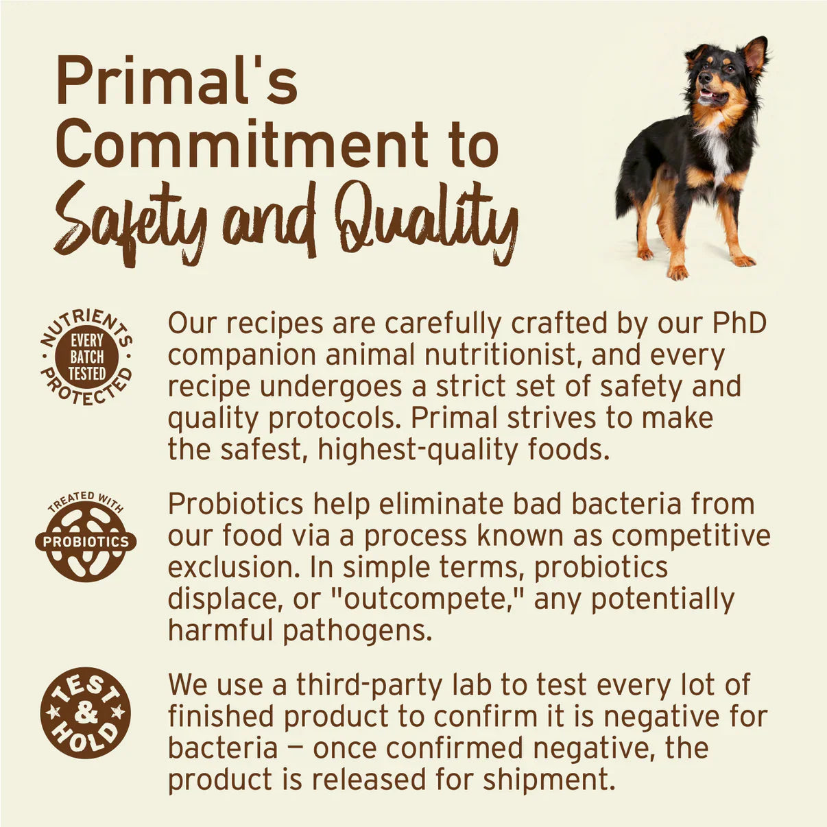 Primal Pumpkin For My Pumpkin Chicken & Pumpkin with Goat Milk Freeze-Dried Dog Treat 2oz