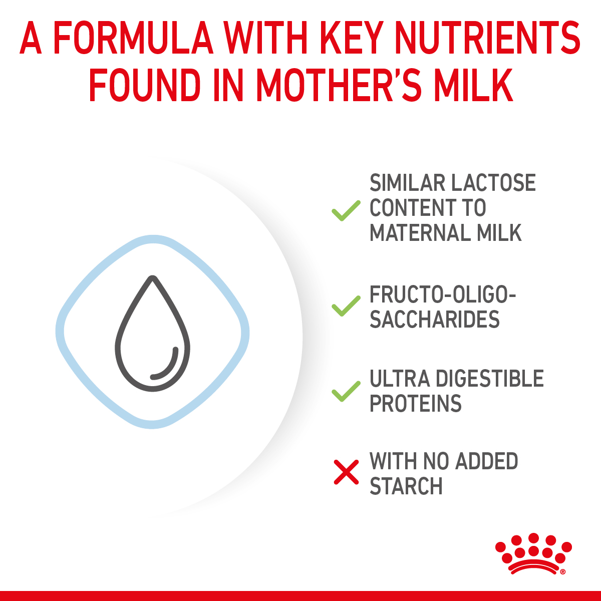 Royal Canin Size Health Nutrition Babydog Milk Dog Wet Food 400 g