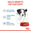 Royal Canin Size Health Nutrition Mini Puppy (Dog Wet Food - Pouches)