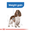 Royal Canin Canine Care Nutrition Medium Light Weight Care Dog Dry Food