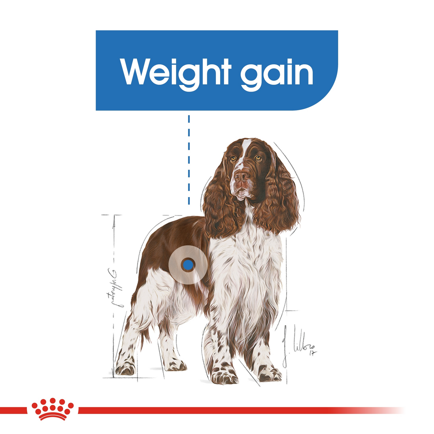 Royal Canin Canine Care Nutrition Medium Light Weight Care Dog Dry Food