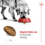 Royal Canin Size Health Nutrition Maxi Adult Dry Dog Food