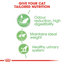 Royal Canin  Feline Care Nutrition Digest Sensitive Gravy (Cat Wet Food - Pouches)