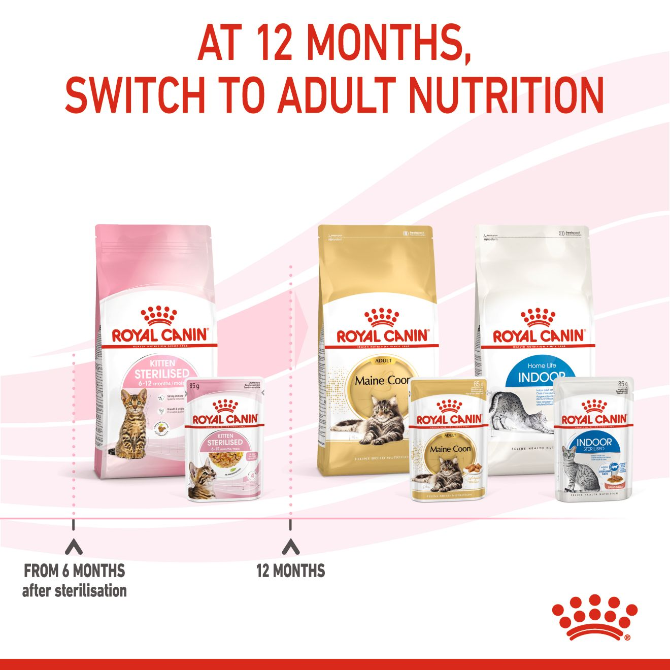Royal Canin Feline Health Nutrition Kitten Sterilised Jelly (Cat WET FOOD - Pouches)