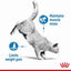 Royal Canin Feline Care Nutrition Light Weight Care (Cat Wet Food - Pouches)
