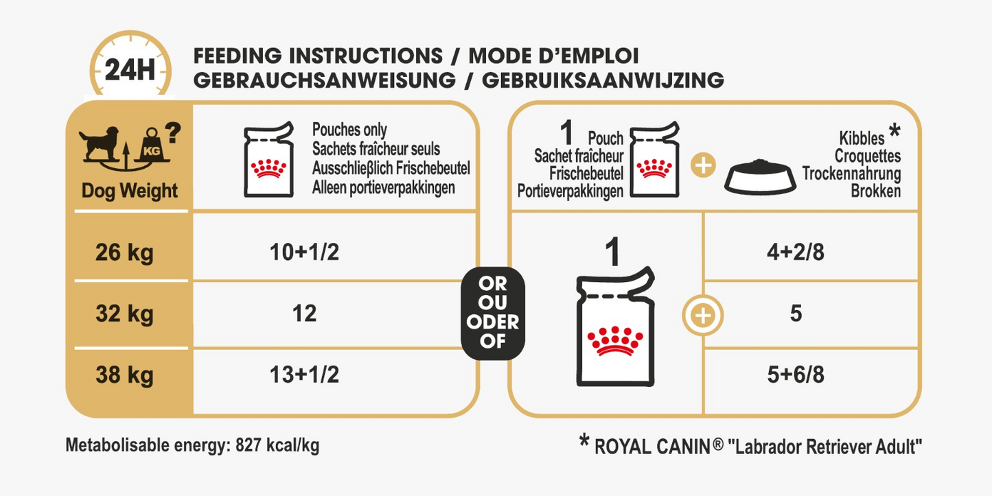 Royal Canin Breed Health Nutrition Labrador (Dog Wet Food - Pouches)