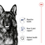 Royal Canin Size Health Nutrition Maxi Adult (Wet Food - Can)
