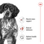 Royal canin Size Health Nutrition Medium Adult (Wet Food - Can)
