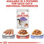 Royal Canin  Feline Health Nutrition Sterilised Jelly (Cat Wet Food - Pouches)