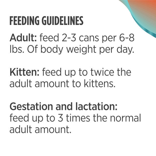 Nulo Cat Minced Salmon & Turkey 85g Can Wet Food