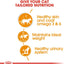 Royal Canin Feline Care Nutrition Hair & Skin Jelly (INTENSE BEAUTY) (Cat Wet Food - Pouches)