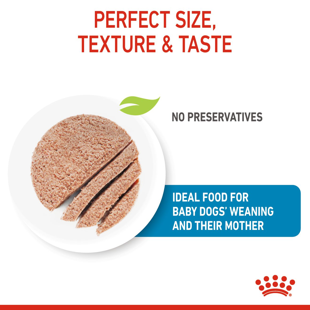 Royal Canin Canine Health Nutrition Starter Mousse Mother & Baby dog (Dog Wet Food - Cans)