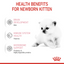 Royal Canin Feline Health Nutrition Babycat Milk Cat Wet Food 300 g