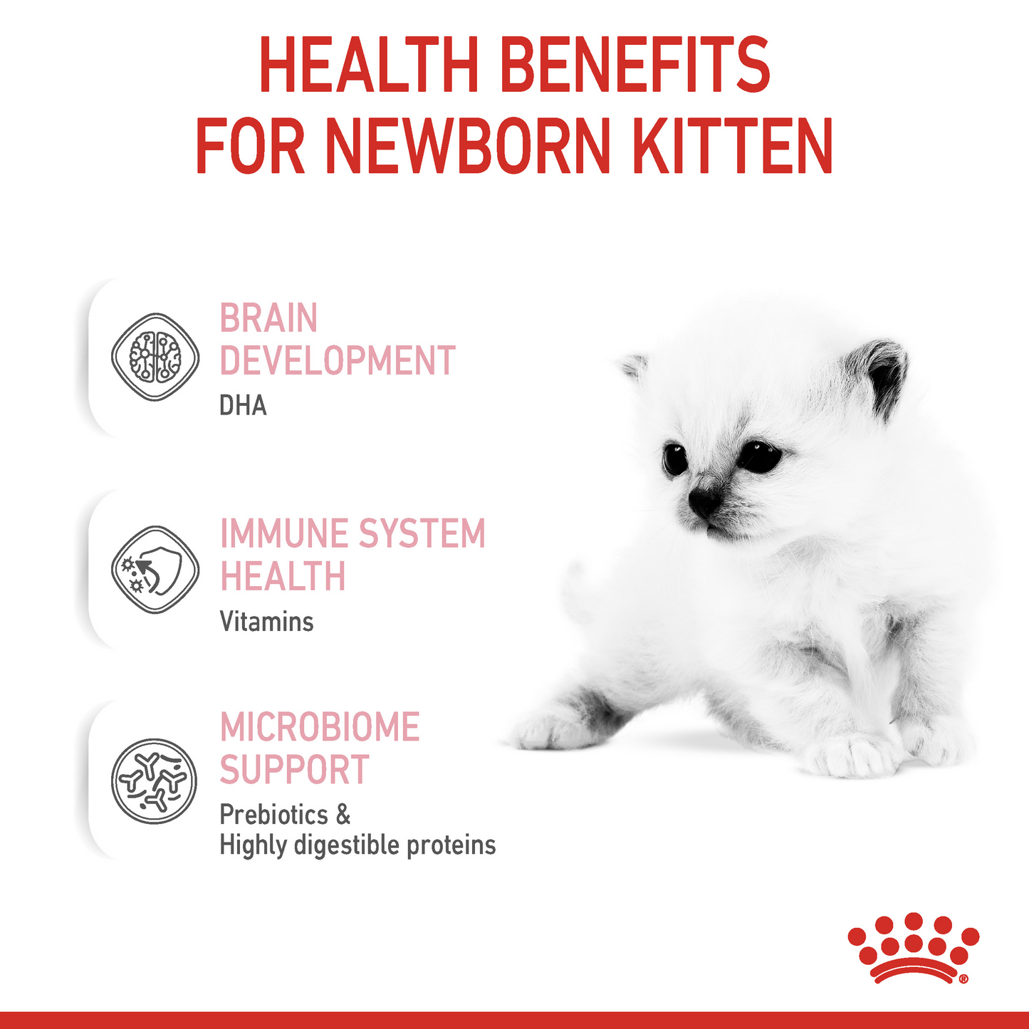 Royal Canin Feline Health Nutrition Babycat Milk Cat Wet Food 300 g