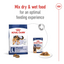 Royal Canin Size Health Nutrition Maxi Adult Dry Dog Food
