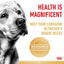 Royal Canin Breed Health Nutrition Labrador (Dog Wet Food - Pouches)
