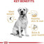 Royal Canin Breed Health Nutrition Labrador Puppy Dry Food