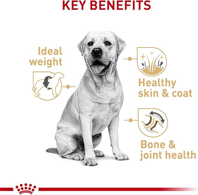 Royal Canin Breed Health Nutrition Labrador Puppy Dry Food