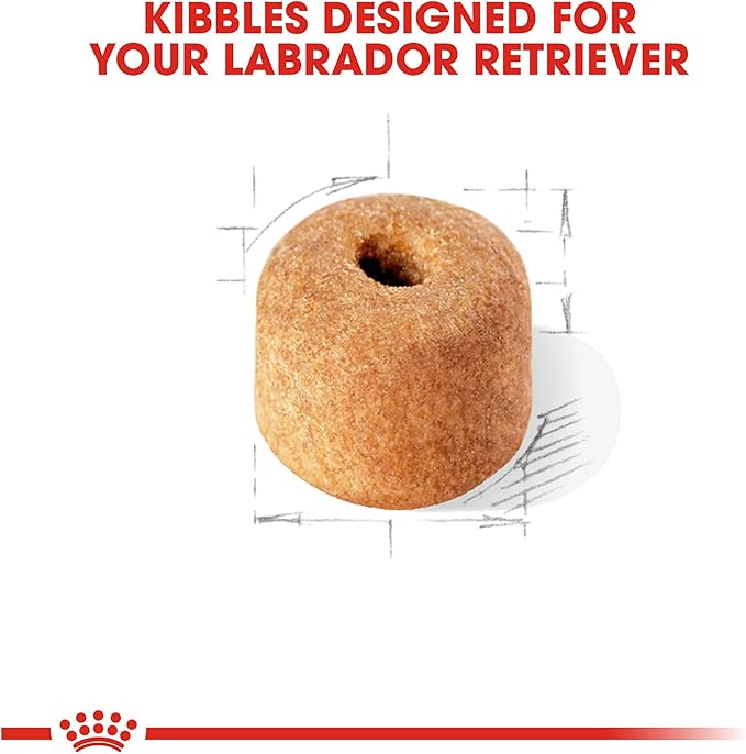 Royal Canin Breed Health Nutrition Labrador Puppy Dry Food