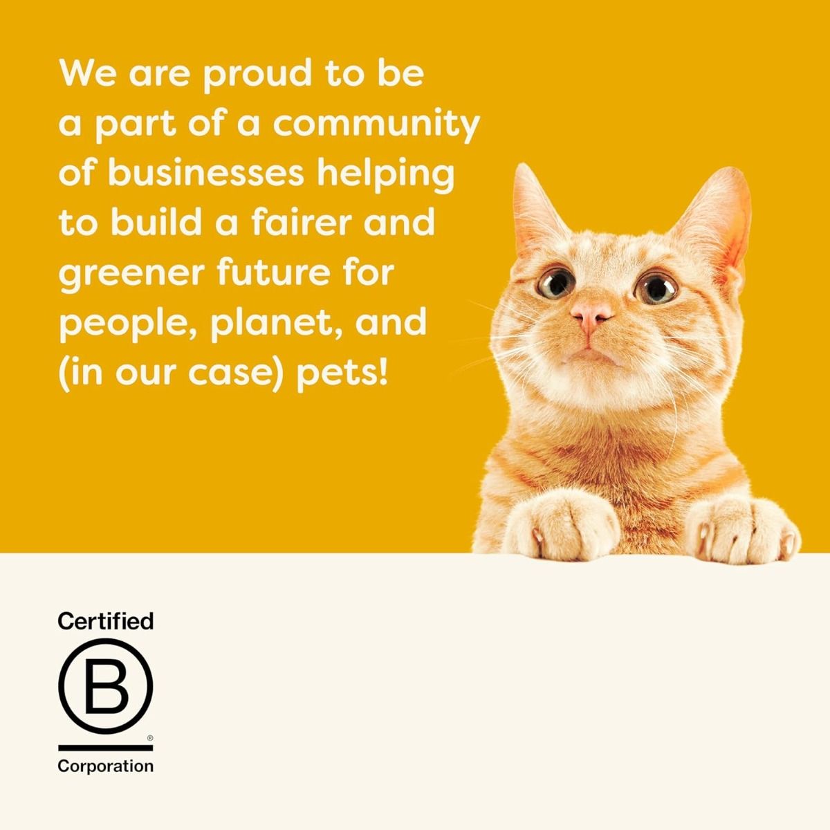 Applaws Chicken with Lamb in Jelly Adult Wet Cat Food 70g Pouch