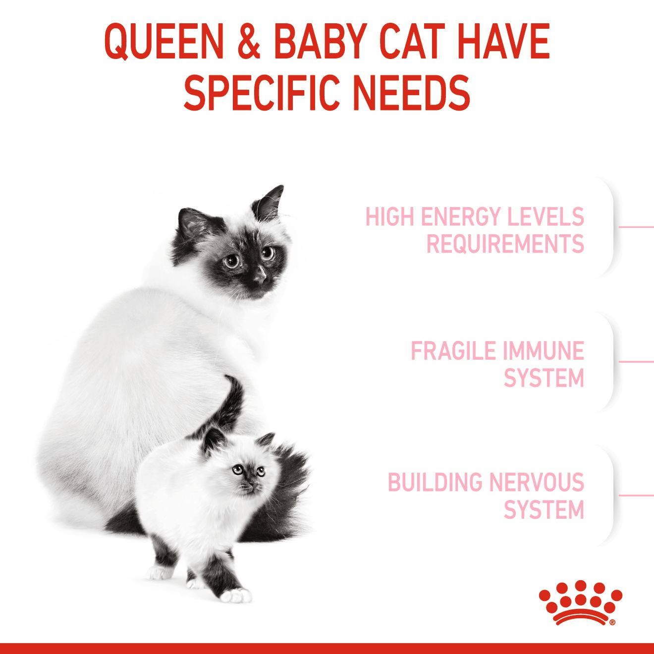 Royal Canin Feline Health Nutrition Mother and Babycat Cat Dry Food