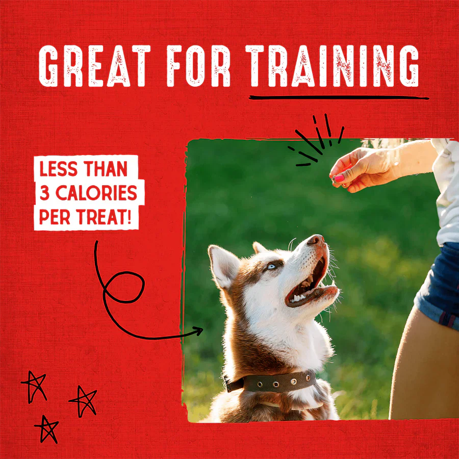 Stella & Chewys Dog FD Carnivore Crunch - Duck - 3.25 oz