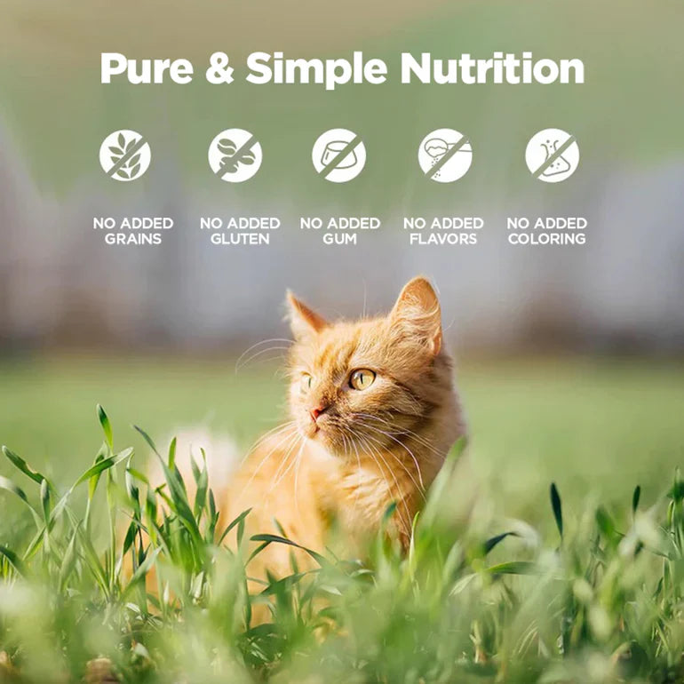 Zeal Grain Free Canned Cat Food 90g (Chicken Recipe)