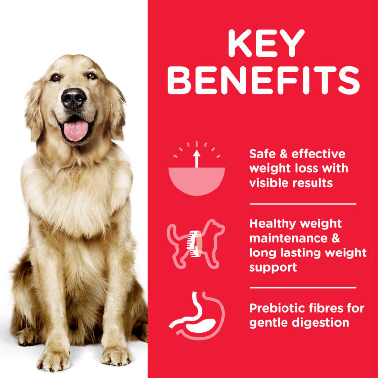 Hills Science Plan Adult Perfect Weight Large Breed Dog Food with Chicken 12kg