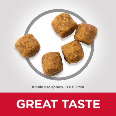 Hills Science Plan Medium Adult Dog Food with Lamb & Rice