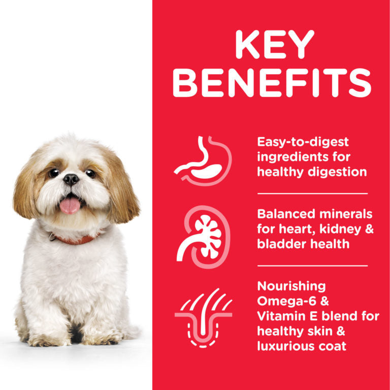 Hills Science Plan Small & Mini Mature Adult 7 + Dog Food with Chicken 3kg