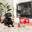 Stella & Chewy? Dog Dental Treats Delights Large
