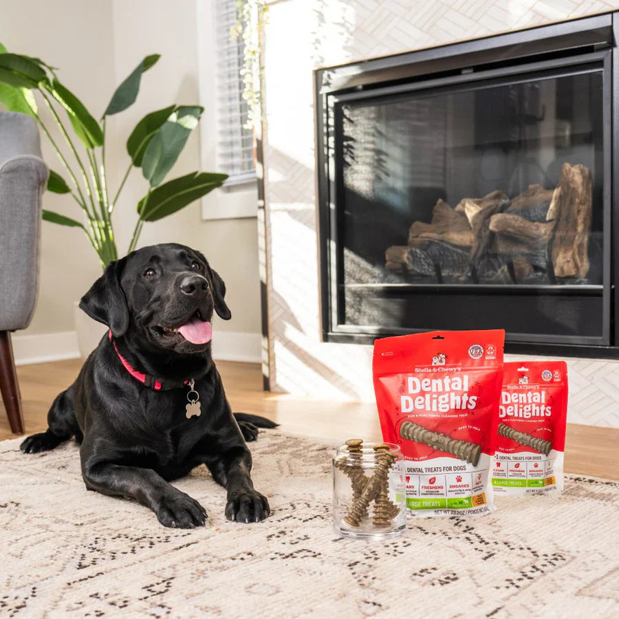 Stella & Chewy? Dog Dental Treats Delights Large