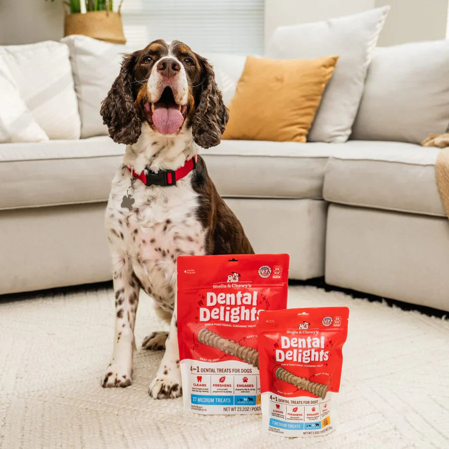 Stella & Chewy? Dog Dental Treats Delights Medium