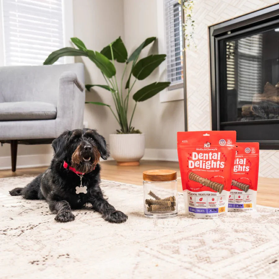 Stella & Chewy? Dog Dental Treats Delights Small