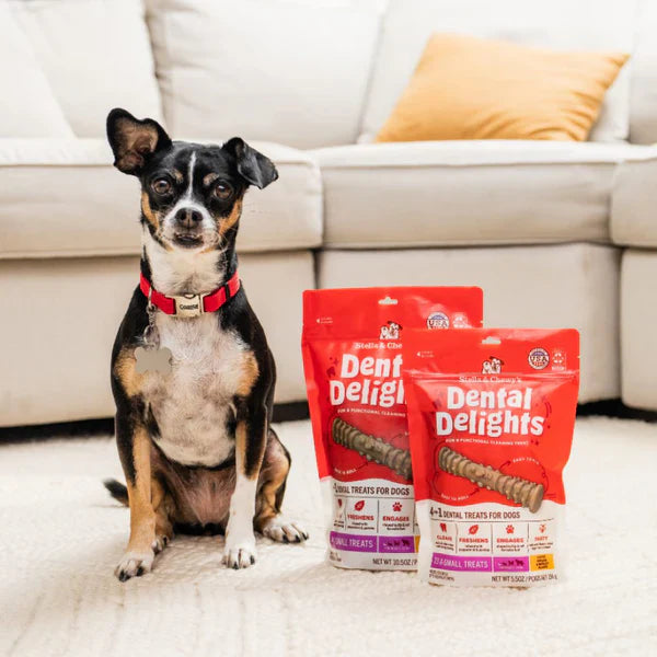 Stella & Chewy? Dog Dental Treats Delights Extra Small 23 ct