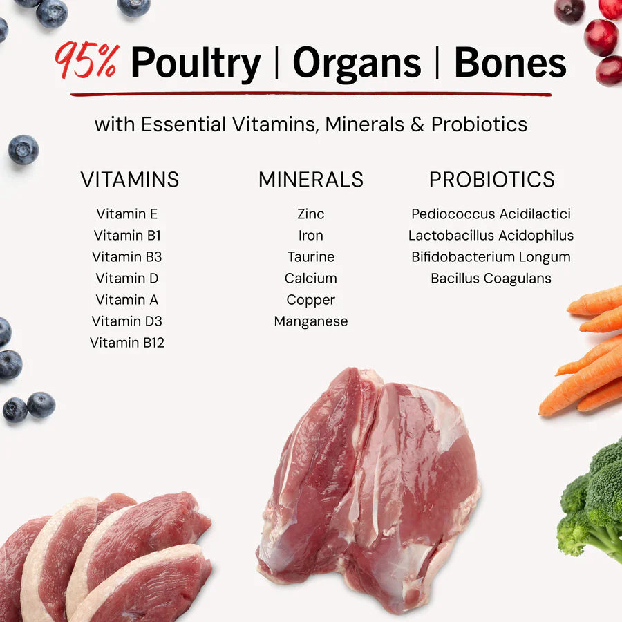 Stella & Chewys Dog FD Duck Duck Goose Patties