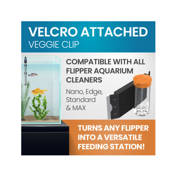 Flipper Feed Aquarium Feeding Kit – Compatible with Flipper Cleaners