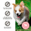 Primal Pumpkin For My Pumpkin Chicken & Pumpkin with Goat Milk Freeze-Dried Dog Treat 2oz