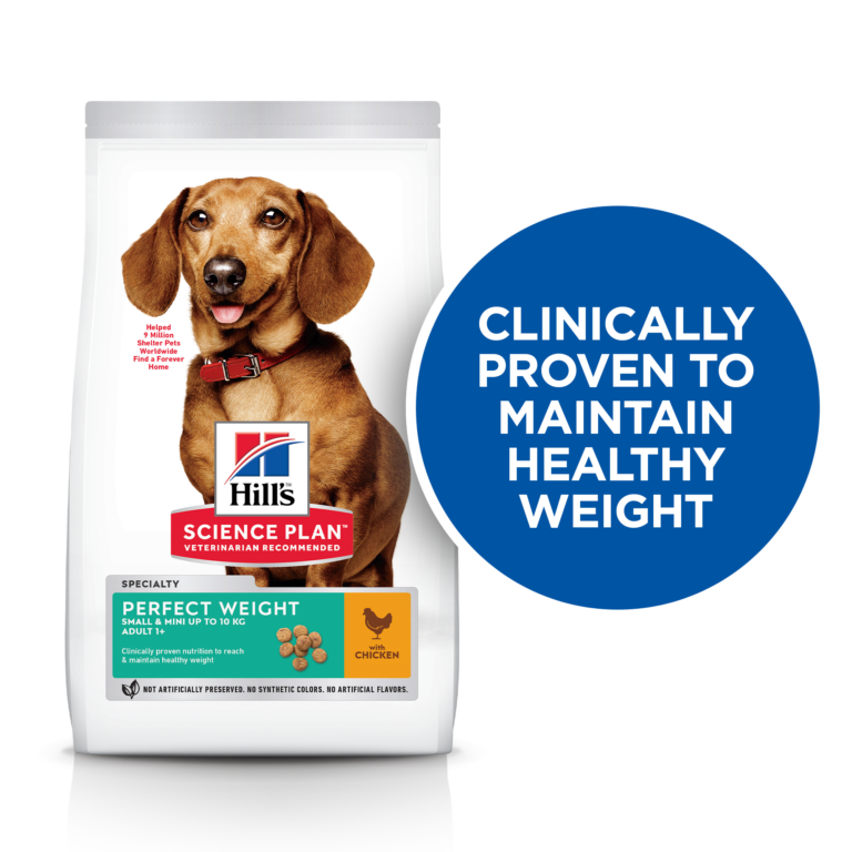Hills Science Plan Perfect Weight Small & Mini Adult Dog Food with Chicken 1.5kg