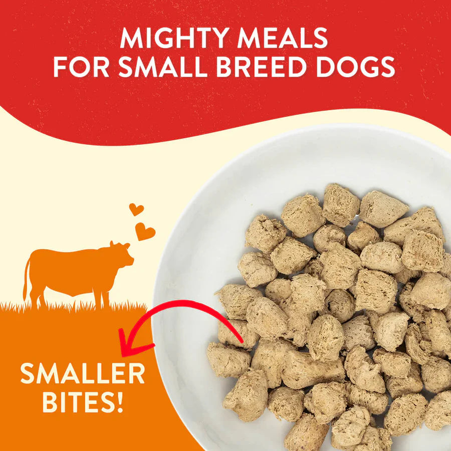 Stella & Chewys Lil Bites Itty Bitty Beef Recipe - 7 oz