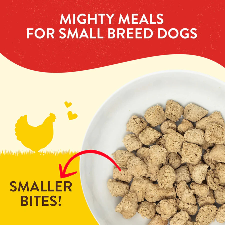 Stella & Chewys Lil Bites - Chicken Little Recipe - 7 oz