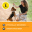 Primal Lets All Get A Lung  Beef Dehydrated Dog Treat 1.5oz